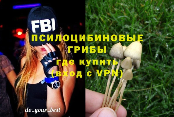 синтетический гашиш Абдулино