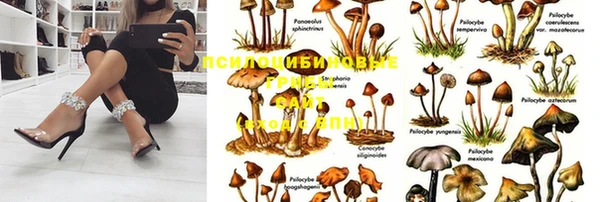 не бодяженный Абинск
