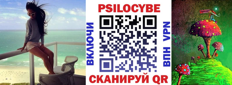 Псилоцибиновые грибы мицелий  Ефремов 